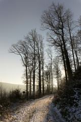 Gegenlicht im Winter