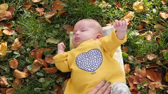 Mother hand strokes baby infant child lying on rug grass and fallen autumn yellow leaves