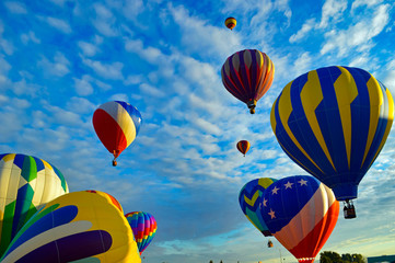 Fototapeta premium Balloon Festival