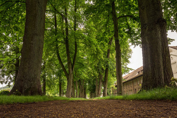 Weg