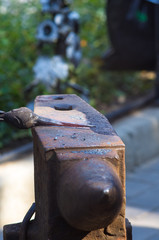 blacksmith performs the forging of hot glowing metal on the anvil