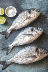 Sea bream (dorada) fish