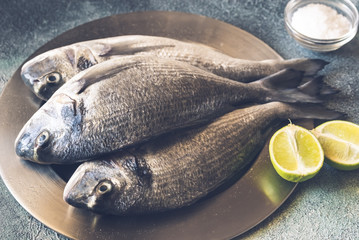 Sea bream (dorada) fish