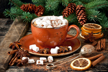 Cup of creamy hot chocolate with melted marshmallows
