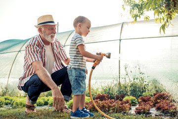 Family working in the garden