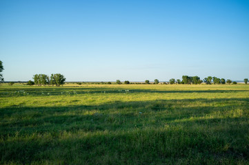 Oklahoma Horizon