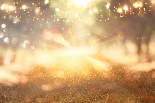 blurred abstract photo of light burst among trees and glitter golden bokeh lights. © tomertu