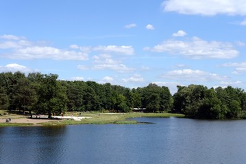 Shibaevsky pond in the natural-historical park "Kuzminki-Lublino"