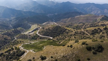 Obraz premium Priorat winefields zone 4