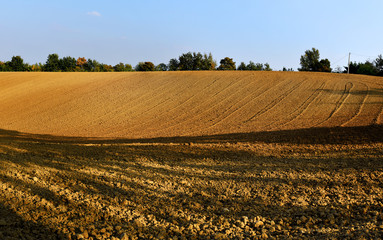 field cultivated in preparation of the harvest