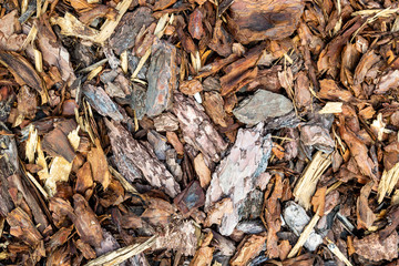 Wood chips or sawdust texture background, background pattern