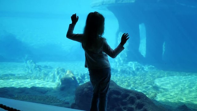 Child girl in a large aquarium stay funny dancing watching underwater in zoo blue tones