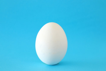 concept image of egg shape over blue pastel background. minimal an pop art concept.