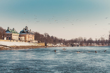 Castle Pillnitz © Bjrn