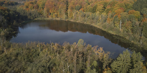 Aerial autumn landscape