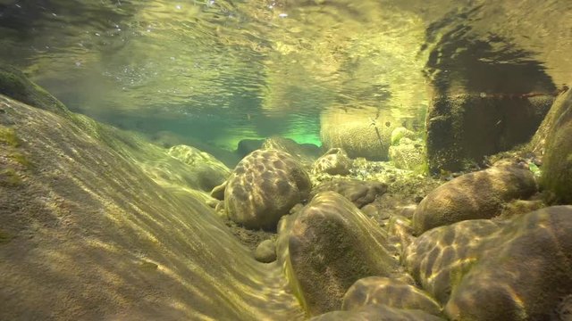 Underwater a shallow rocky riverbed, La Muga river, Girona, Alt Emporda, Catalonia, Spain
