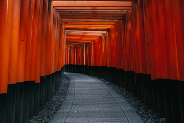 Pathway orii gates at Fushimi Inari Shrine at night and rain Kyoto, Japan.
