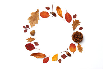  autumn composition of leaves on a white background top view. Place for text, minimalism, insta, flatlay