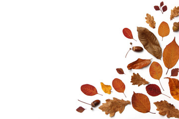  autumn composition of leaves on a white background top view. Place for text, minimalism, insta, flatlay
