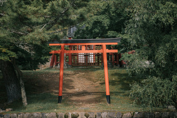 Fototapeta na wymiar Pathway torii gates with green leaves background