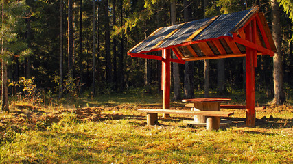 Obraz premium Good picnic spot forest nature golden autumn evening 