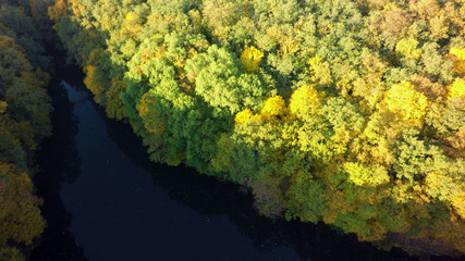 Aerial view on the lake and autumn tree forest