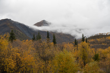 autumn in the Alaskan mountains
