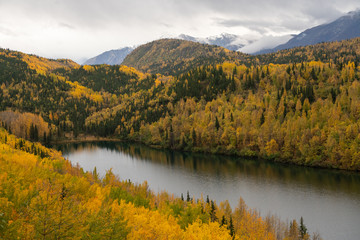 Naklejka premium autumn landscape with lake and trees