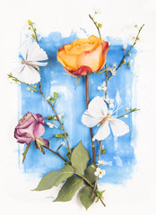 flowers on a white background