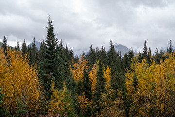 autumn in the Alaskan mountains