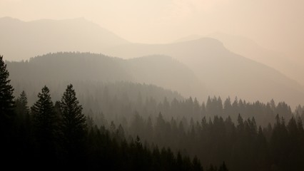Smokey Landscape