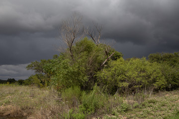 The calm before the storm