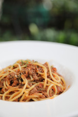 spaghetti Bolognese with minced beef and tomato sauce garnished with parmesan cheese and basil , Italian food