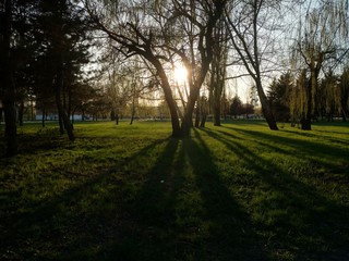 path in park