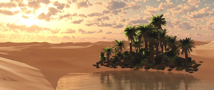 Beautiful oasis in the sandy desert at sunset, a lake with palm trees in the desert,
