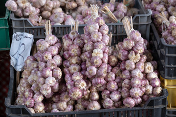 Fresh garlic at the market stall
