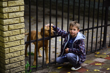 Enjoy being my pet dog. Little boy adopt pet dog from animals shelter. Little boy play with pet...