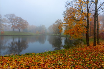 Fototapeta na wymiar Morning autumn fog in Alexander park in Tsarskoe Selo (Pushkin), St. Petersburg, Russia