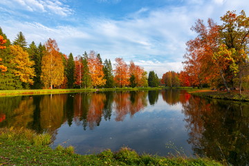 Autumn foliage in Pavlovsky park, Pavlovsk, St. Petersburg, Russia