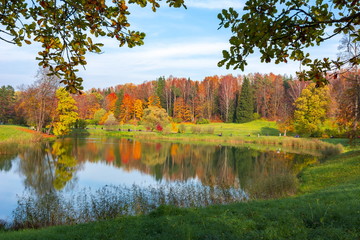 Autumn foliage in Pavlovsky park, Pavlovsk, St. Petersburg, Russia