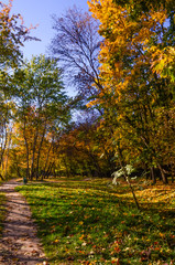 City park in the sunny day in the autumn season