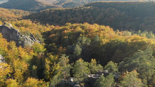 Aerial Drone Footage : Flight over autumn mountains with forests, meadows and hills in sunset soft light