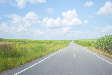 Bright and clouds sky, The road is surrounded by green meadows.