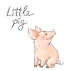 Hand drawn naughty pig. Cute funny piglet isolated on white background. Pig Chinese zodiac symbol of the year.