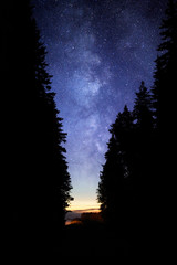 Milky Way in night sky. Forest silhouette in the foreground.