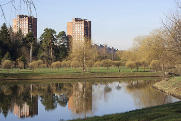 reflections in water