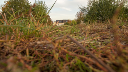 Aerial photography, aerial, landscape, nature, drone, beautiful, photography, water, skyline, beach, country