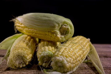Fresh raw corn cobs