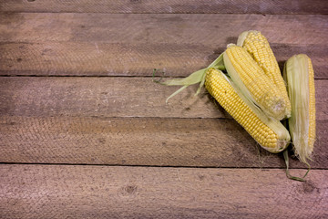 Fresh raw corn cobs on rude wooden table