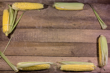 Frame of fresh raw corn on wooden table